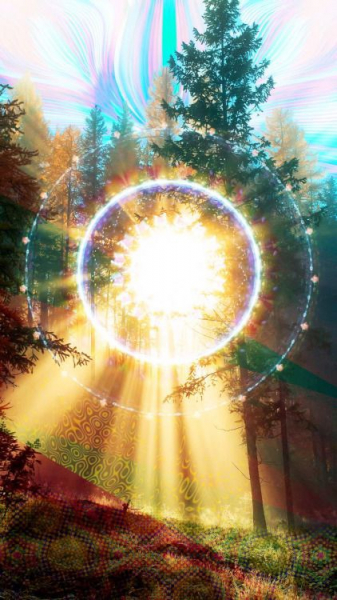 Наши электромагнитные поля необычным образом связаны со всеми живыми организмами