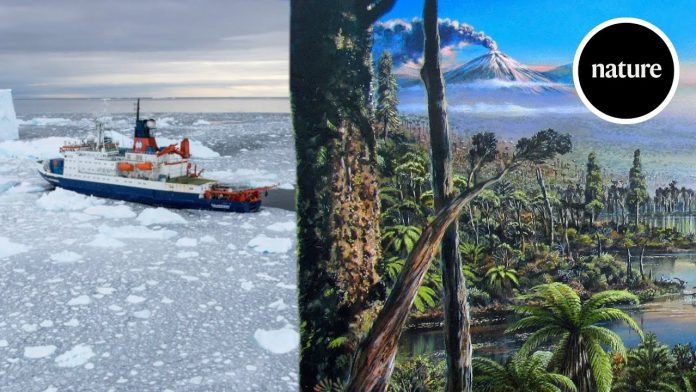 Пожары регулярно опустошали Антарктиду