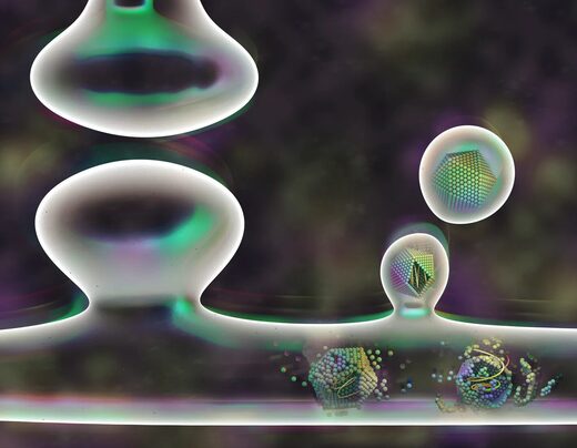 Все ваши воспоминания хранит одна странная древняя молекула