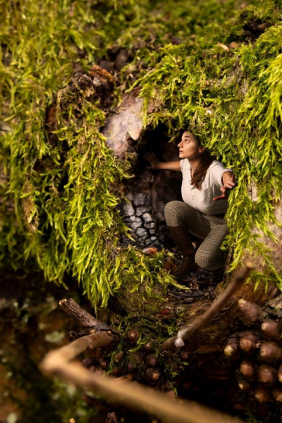 2021 год: лучшие фотографии читателей сайта Би-би-си в Британии