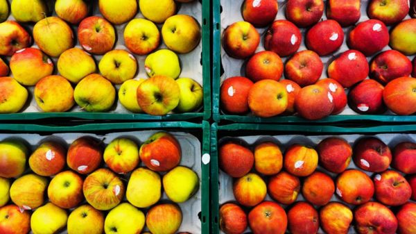 Минск вводит контрсанкции в адрес Запада; 7 тыс. мигрантов все еще пытаются попасть в Евросоюз. Главное в Беларуси за неделю