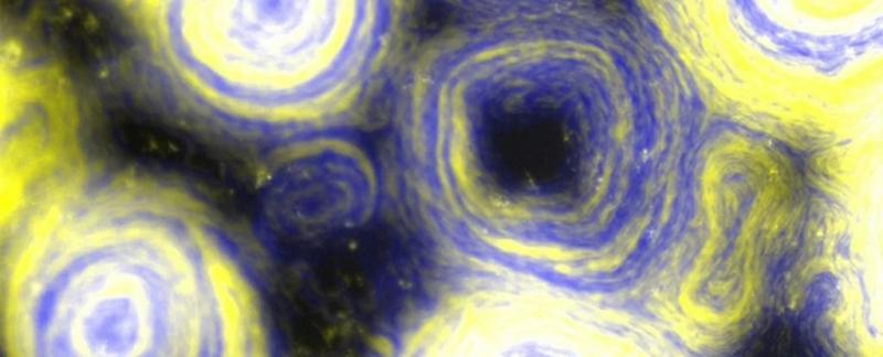 Бактерии-мутанты случайно воссоздали одну из самых знаковых картин Ван Гога