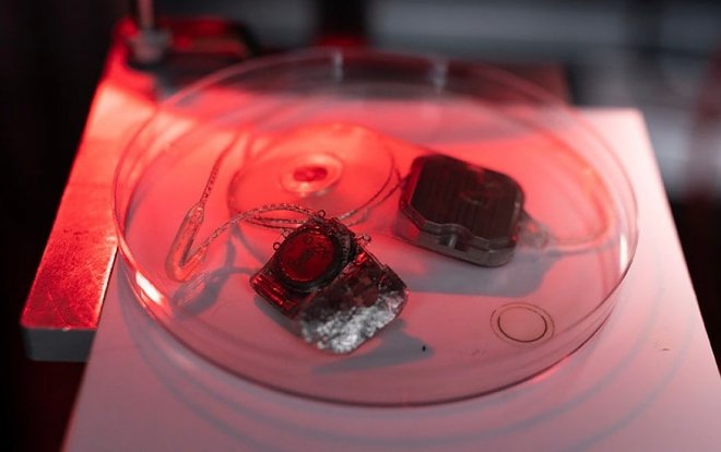 Бионический глаз Phoenix99 готов к испытаниям на людях