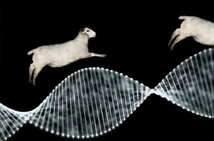 Что мы делаем во сне? Жуткие истории о том, как гены и мозг &laquo;решают&raquo; за нас