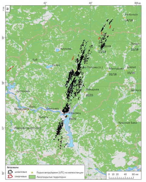 Какие следы оставляет ветер в лесу и что по ним можно выяснить