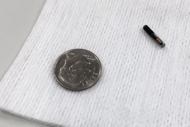 Под вашей кожей: Микрочип, имплантированный в руку, может отслеживать состояние вакцины Covid с помощью сканирования мобильного телефона