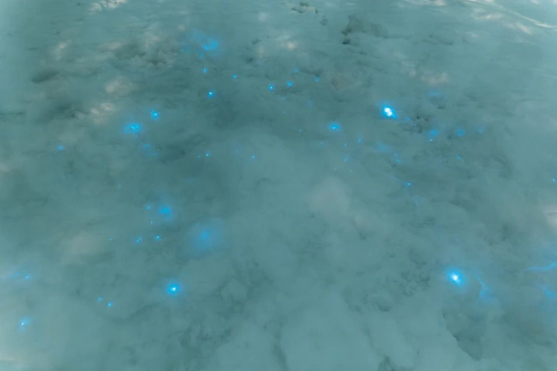 Российские ученые нашли в Арктике светящийся снег