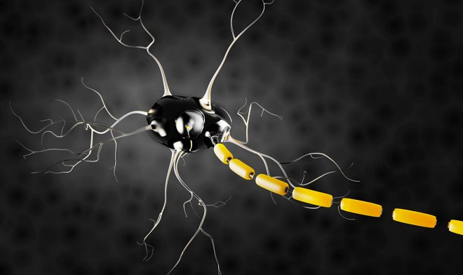 Сибирская язва станет обезболивающим средством 