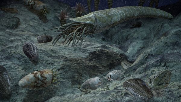 Ученые подтвердили, что первое крупное вымирание вызвали вулканы