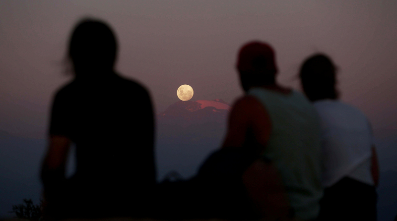 Вши помогли палеогенетикам расшифровать ДНК южноамериканских мумий