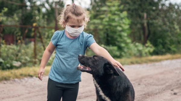 "Мужики рассвирепели и отстреливают собак”. Спор из-за закона о бродячих животных обострился после гибели ребенка в Сибири