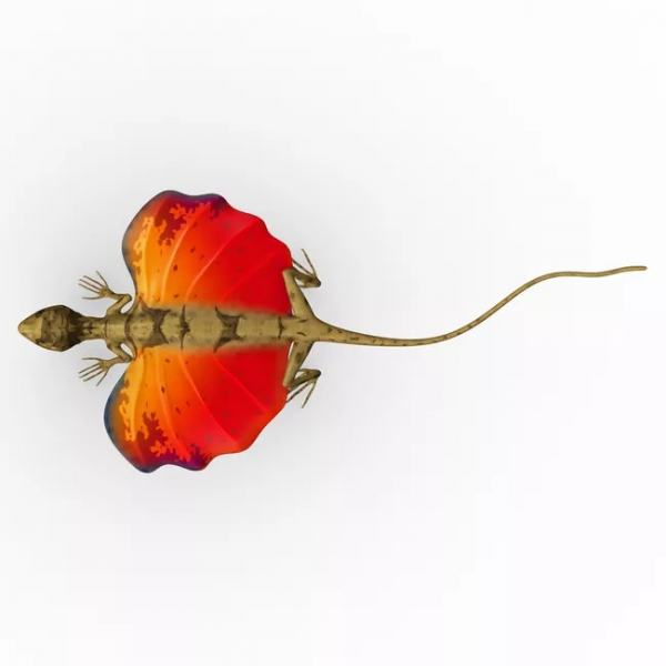 Что говорит наука о возможности существования летающих и огнедышащих драконов?