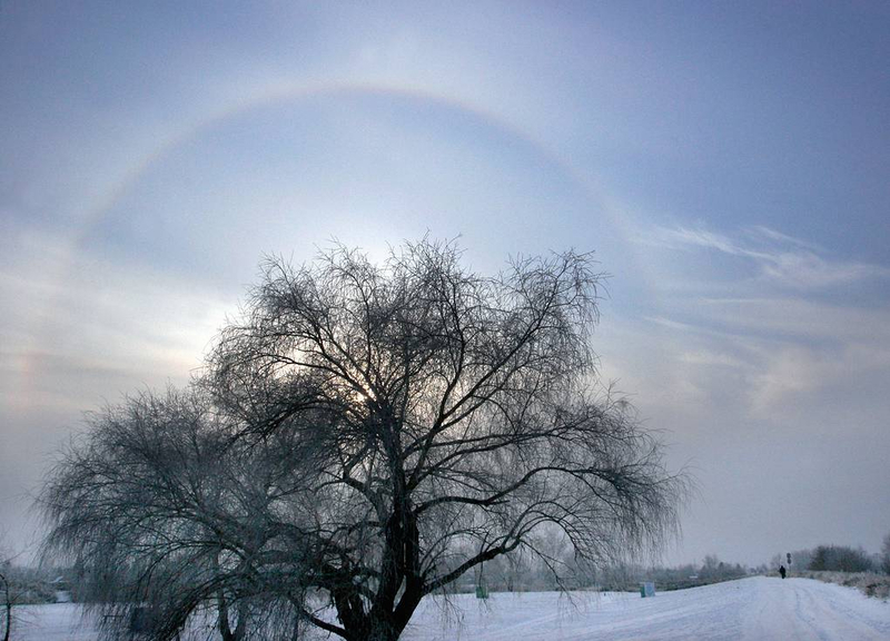 Гало, ложные солнца, световые столбы: как их отличить и где искать?