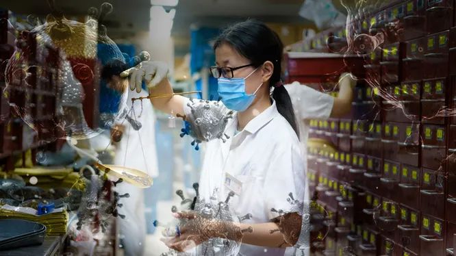 Пандемию коронавируса предсказали еще в 2016 году: корейский кризис