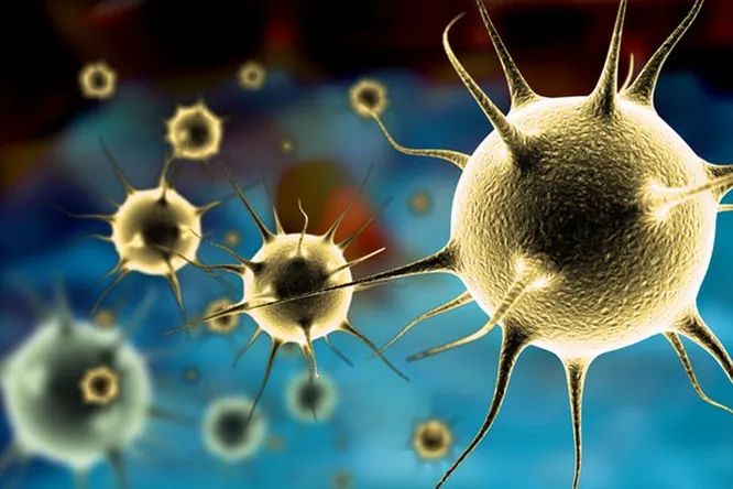 Пандемию коронавируса предсказали еще в 2016 году: корейский кризис