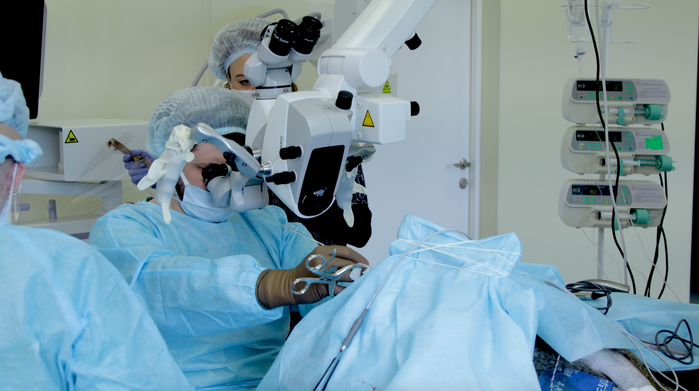 Российские ученые впервые установили зрительный нейроимплант обезьяне 