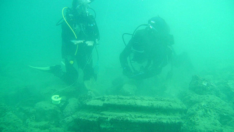 Ученые нашли 114 видов морских животных, обитающих на карфагенском корабле