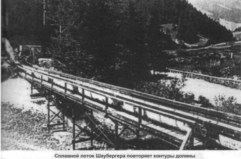 Виктор Шаубергер. Сила природной геометрии.