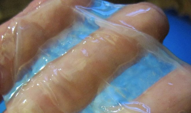 Живой водяной фильтр из чайного гриба оказался эффективнее коммерческих аналогов