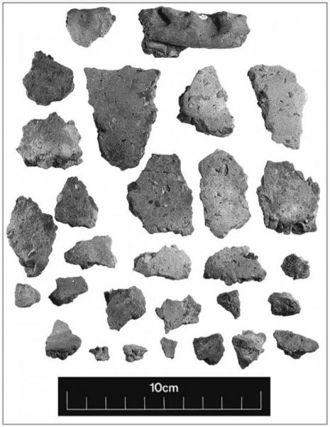 Археологи обнаружили самую крупную капсулу времени железного века на северо-западе Англии 