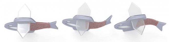 Биогибридная рыбка-робот из клеток человеческого сердца плавает уже 100 дней