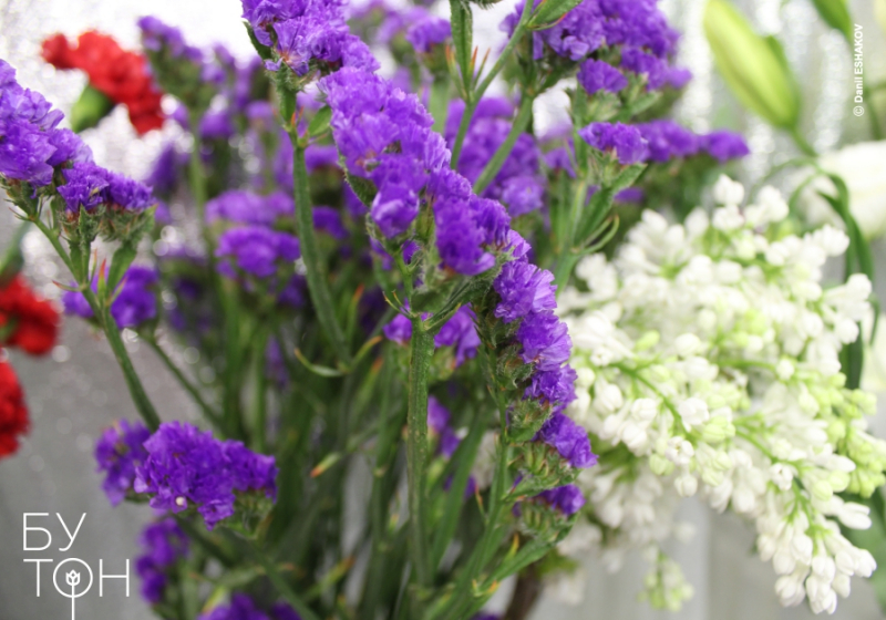 ДАРИТЬ СЧАСТЬЕ &mdash; БЕСЦЕННО!