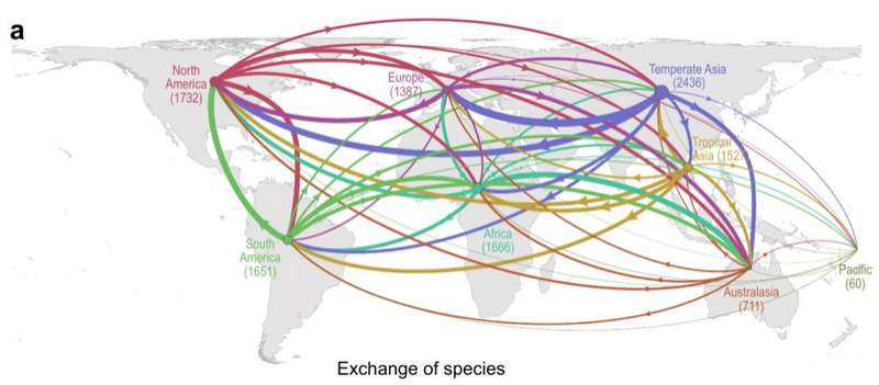 Главной угрозой для биоразнообразия назвали не исчезновение видов, а инвазивные растения