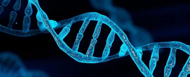 Некоторые дети умирают без видимых причин. Генетика наконец-то дает нам ответы