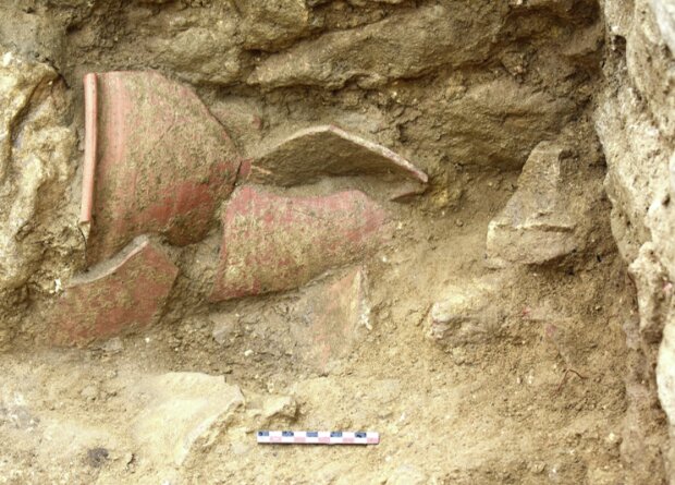 Палеопаразитологи нашли в древнеримском ночном горшке яйца кишечных паразитов