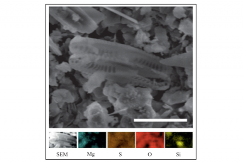 Во внеземном метеорите разглядели окаменевшие микроорганизмы