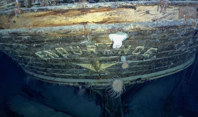 Четыре удивительных морских существа поселились в затонувшем судне &laquo;Endurance&raquo; Эрнеста Шеклтона 