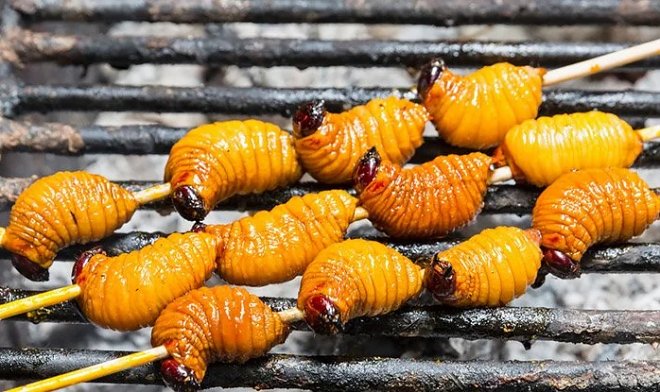 Диета из насекомых решит огромное количество экологических проблем