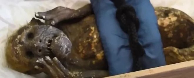 Японские ученые раскрыли тайну 300-летней мумии &laquo;русалки из Окаямы&raquo; 