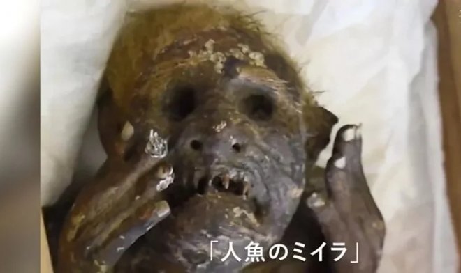 Японские ученые раскрыли тайну 300-летней мумии &laquo;русалки из Окаямы&raquo; 