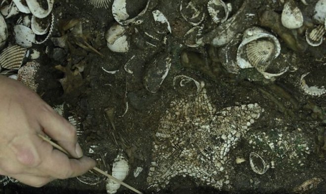 Крупнейший храм бога войны ацтеков был украшен сотней морских звезд 