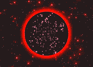 «Квантовые волосы» помогли разрешить парадокс исчезновения информации в черной дыре