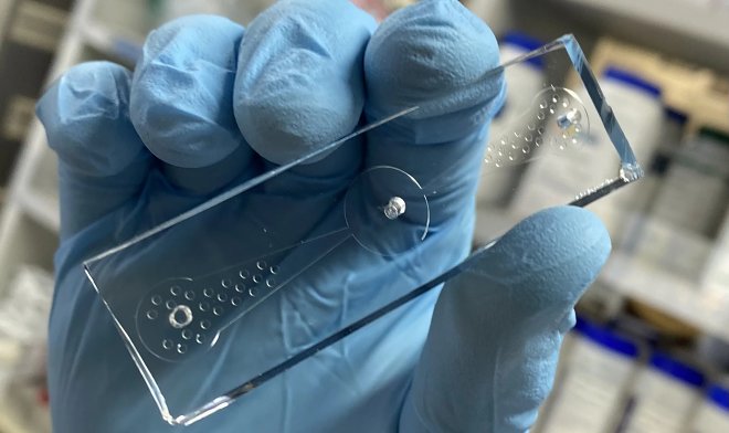 Необычная тест-система &laquo;червь на чипе&raquo; оказалась эффективной в определении рака 