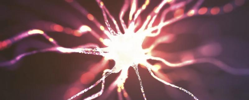 Ученые идентифицировали нейроны, которые обрабатывают результаты действий