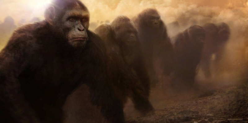 Ученые переосмыслили эволюцию человека