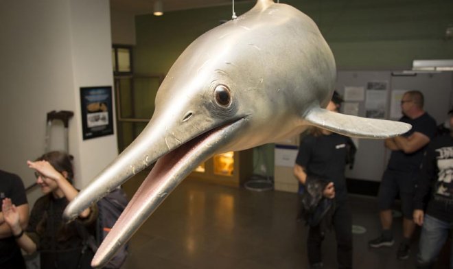 В Швеции создали самую точную модель ихтиозавра в мире