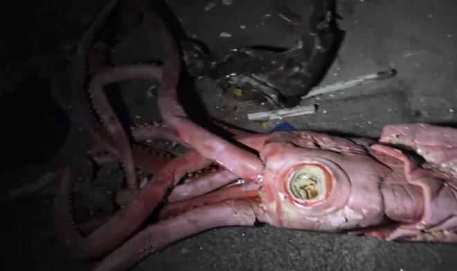 Визит в заброшенный океанариум неожиданно превратился в хоррор-шоу