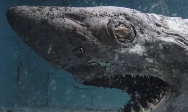 Визит в заброшенный океанариум неожиданно превратился в хоррор-шоу