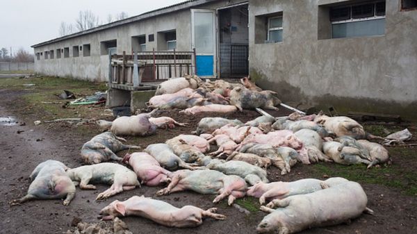 Освобождение Ирпеня, новые жертвы и не падающая духом Одесса. Пятая неделя войны в фотографиях