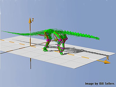 Как ученые «научили ходить» крупнейшего динозавра