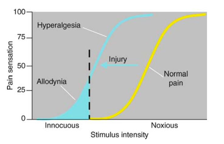Как устроена боль и может ли она быть беспричинной