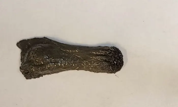 "Магнитная какашка": ученые изобрели движущуюся слизь, которую можно использовать в пищеварительной системе человека