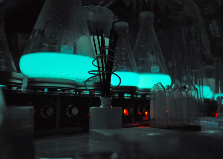 Маленький французский городок освещается биолюминесцентными организмами