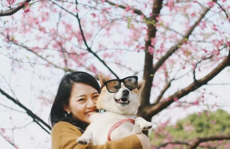 Почему +4 градуса осенью ощущаются холодно, а весной &mdash; тепло?