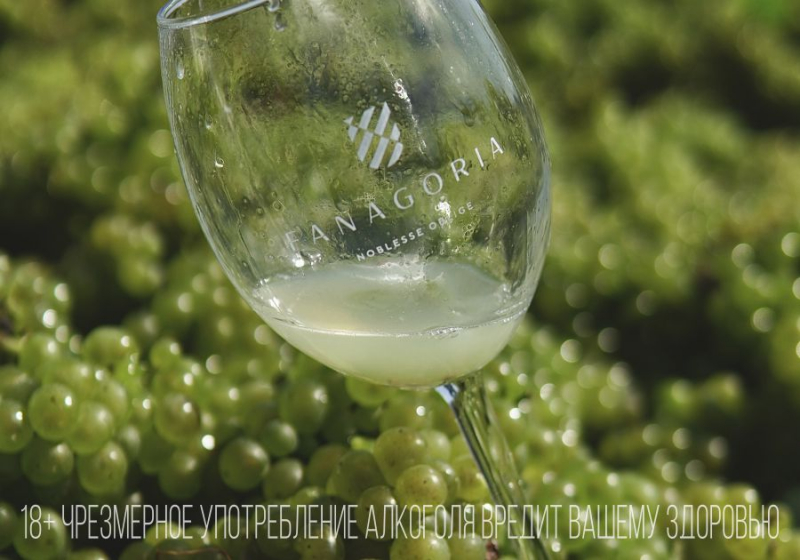 Рассказать про вино просто и интересно? «Фанагория» говорит – «Да»!