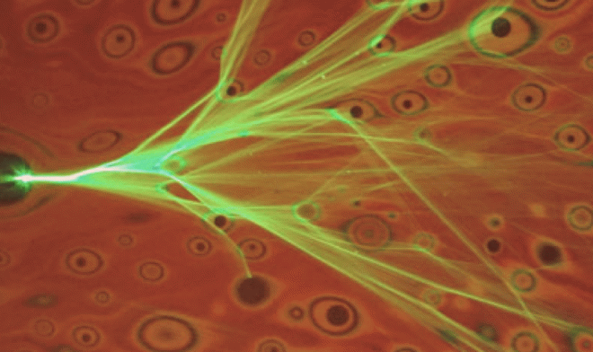 Река света: в тонких пленках свет ведет себя подобно жидкости